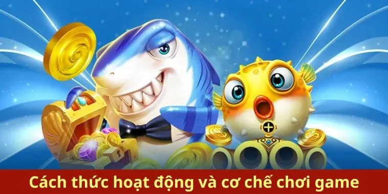 Cách Chơi Bắn Cá Royal Fishing Tại S666 Hiệu Quả Nhất 2 Cách Chơi Bắn Cá Royal Fishing Tại S666 Hiệu Quả Nhất