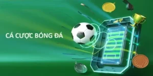 Tìm Hiểu Cá Cược Bóng Đá S666: Thế Giới Đỉnh Cao