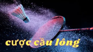 Cách Chơi Cá Cược Cầu Lông Tại S666 Hiệu Quả Nhất