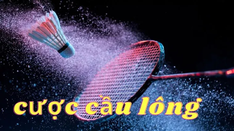 Cách Chơi Cá Cược Cầu Lông Tại S666 Hiệu Quả Nhất