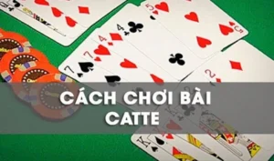Cách Chơi Sắc Tê Nhà Cái S666 Hiệu Quả Nhất Cho Anh Em