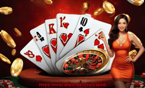 mẹo nuôi dàn đề hiệu quả