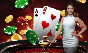 Nuôi dàn đề hiệu quả